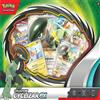 Pokemon - Cyclizar Exbox "Maggio"
