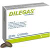 Nalkein DILEGAS COMPRESSE 30 COMPRESSE