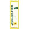 NATURWAREN ITALIA Srl THEISS ARNICA GEL FORTE 100 ML