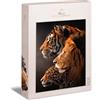 Ulmer Puzzleschmiede - Puzzle The Big Three - Colossale motivo gatto predatore con tigre, leone e leopardo - Puzzle con animali da 1000 pezzi con i 3 grandi cacciatori