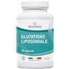 Bandini® Glutatione Liposomiale 60 Capsule | 250mg L-Glutatione Setria | Ridotto e Bioattivo da fermentazione | Antiossidante e Anti Invecchiamento - Contrasta I Radicali Liberi | Senza OGM, Vegan