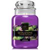 Lady Venezia Seduzione Lavanda Selvatica