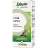 BOIRON SRL Ficus Carica Boiron Macerato Glicerico 60 Ml