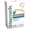 I.C.F. Stomek - I.C.F. - Stomek Compresse - 32CPR