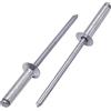 SKIR'CO (100 pz) Rivetti in alluminio controusunk 3.0 x 16 mm, mandrino in acciaio, rivetti pop
