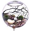 WayGlory Kit per acquario a forma di globo acquatico, vaso in vetro con piedi, palline di muschio vivente e ventaglio nero corallo utilizzato per la decorazione della tavola(6,4 cm x 6,5 cm, stile C)