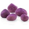 biOrb OASE Ciottoli Viola Biorb