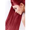 SANOTINT TINTA CLASSIC COLORE 23 RIBES ROSSO -2 CONFEZIONI- 2X125 ML