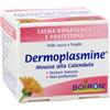 BOIRON Srl DERMOPLASMINE MOUSSE 20 G