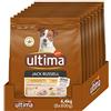 Ultima Taglia Piccola Jack Russell Pollo - Crocchette per cani - Confezione da 8 x 800g - Totale 6,4kg