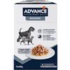 Affinity Advance Veterinary Diets Recovery 100 gr Alimento Umido Cani Gatti