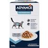 Affinity Advance Veterinary Diets Feline Gastroenteric 85 gr Alimento Umido Gatti