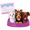 Pucci Pups - Adotta Un Cucciolo - Cane Giocattolo - Animale di Peluche - Cane di Peluche - Cuccioli Giocattolo - 2 Anni +