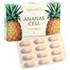 erbamea ANANAS CELL COMPRESSE 36CPR