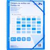 Raylu Paper® - Cartella classificatrice con anelli trasparenti A4 da 90 micron e busta con chiusura adesiva, coperchio personalizzabile. Cartella di buste 100% biodegradabile (30 custodie, blu)