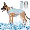 Vivi Bear Gilet Di Raffreddamento Per Cani Con Pettorina, Gilet Di Raffreddamento Per Cani, Cappotti Di Raffreddamento Per Animali Domestici, Per Attività All'Aperto, Escursioni, Addestramento, Verde
