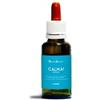 NATUR SRL Natur Calma Ansia mix di essenze 30 ml