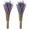 Jangostor 100 g Mazzi di Lavanda Secca, 43 cm Fiori secchi naturali per la casa, il soggiorno, il matrimonio, la fotografia, lo sfondo fai da te e l'artigianato