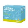 Fluimucil Mucolitico Granulato Orale 30 Bustine 200 mg