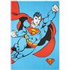 Excelsa Superman Canovaccio da Cucina, 100% Cotone, Cm. 70 x 50, Con Asola