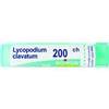 BOIRON Srl LYCOPODIUM CLAV*200CH80GR BO