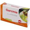 KOS Srl GARCINIA ESTR SEC 60CPR 25,2G
