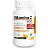 PALADIN PHARMA SpA SANAVITA VITAMINA C 60CPR