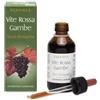 ERBAMEA Srl Erbamea - Tisana Vite Rossa Gambe Biologica - Tisana Biologica per il Benessere delle Gambe - 20 Bustine