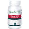 ERBA VITA GROUP SpA SPACCAPIETRA 60 CAPSULE