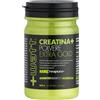 +WATT CREATINA + POLVERE EXTRA GOLD 100 GR