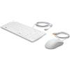HP Inc HP Tastiera e mouse USB Healthcare Edition