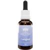 Bush Biotherapies Caregiver 30 ml - Fiori Australiani