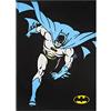 Excelsa Batman Canovaccio da Cucina, 100% Cotone, Cm. 70 x 50, Con Asola