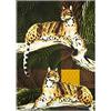 Excelsa Leopard Canovaccio da Cucina, 100% Cotone, Cm. 70 x 50, Con Asola