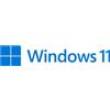 Microsoft Windows 11 Pro 1 licenza/e