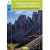 Odós (Udine) Dolomiti Friulane e Prealpi Carniche. 35 escursioni sulle montagne del Friuli occidentale