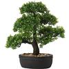Briful Bonsai artificiale da 35,8 cm, pianta finta, bonsai giapponese in vaso, albero di cedro bonsai, per interni ed esterni, decorazione per hotel, casa, ufficio