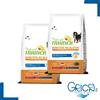 Natural Trainer Sensitive No Gluten Medium&Maxi Adult con uovo e cereali integrali - 12 Kg - 12 kg - 2+ sacchi