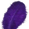 Crenze Creny 10 pezzi Piuma di struzzo 12-14pollici (30-35cm) per la decorazione domestica Wedding, festa, fai da te