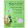 TEAOLOGY Matcha Tea Superfood Mask - Maschera viso Rassodante e Nutriente