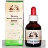 Fitoblasto betulla verrucosa linfa 50 ml