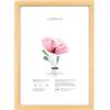Lupia - Cornice Portafoto da Parete in Legno Optical, Design Moderno e Elegante, Facile da Appendere, Produzione Italiana, per Foto, Stampe Artistiche, Poster, Quadri Moderni 13x18 cm/Legno Naturale