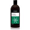 Ziaja Family Shampoo 500 ml
