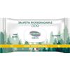 Inodorina Salviette Green 30 pz per Cani Modello Lucidante