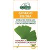 Ginkgo biloba estr tit 60past