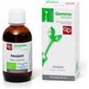 Fitomedical Faggio Macerato Glicerinato Bio 50 Ml