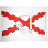 AZ FLAG X_1680 Legion Wallonie - Bandiera per Asta, 90 x 60 cm
