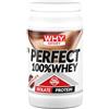 WHY SPORT PERFECT 100% WHEY - Proteine Whey - Proteine Isolate - Proteine in Polvere con Aminoacidi Essenziali per la Massa Muscolare - Gusto Cioccolato al Latte - 450 gr