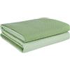 SaRani Copriletto Double Face Trapuntato Termosaldato Tinta Unita Singolo Piazza emezza (Matrimoniale, Verde)