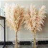 Bannifll 10 pezzi di erba di pampa grande, erba di pampa XXL,grande decorazione di erba di pampa per la decorazione boho del salotto, del tavolo, della camera da letto, del bagno e per matrimoni (100 cm)